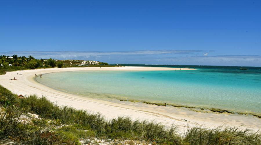 Veículos Mais Populares em Coral Bay